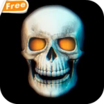 skull 3d video theme wallpaper android application logo